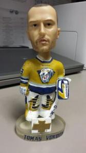 Tomas-Vokoun-213x380